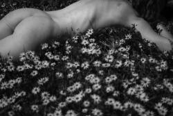nakedwithflowers:  What else is there for Doe to do in a meadow