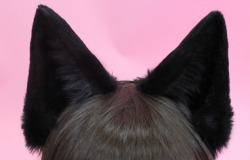 kittensplaypenshop:  Black Canine/Fox Ears <3 Fully wired