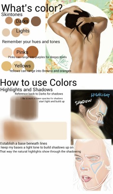 doodle-my-direction:  THE BASICS: SKIN, SHADOWS AND HIGHLIGHTS