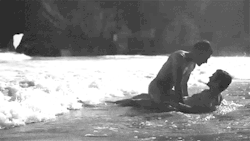 Swimming With Sharks