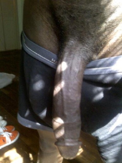 parttimesissy:  praisemybigblackcock:  luvingthed:  onlythehugestcocks: