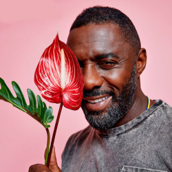 supremeleaderkylorens:Idris Elba for ShortList