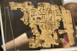 fuckyeaharchaeology:  Egypt’s Oldest Papyri on Display, Details