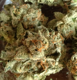 bytheoz:  some fire Lemon kush 