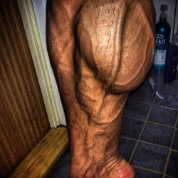 musclemonsterz:  Calf!