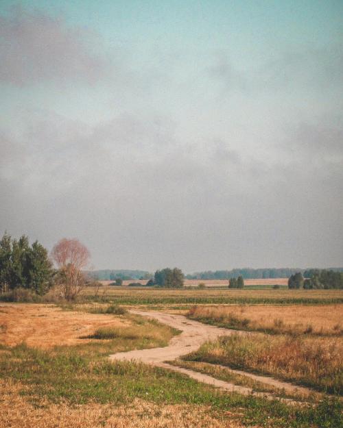 oneshotolive:  A beautiful field in Belarus [2074x2592] [OC]