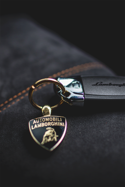 wearevanity:  Keys to the LP610 © 