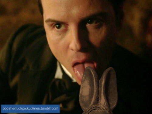 Happy Easter, everyone! That Cumberbunny is a real thing, by the way…