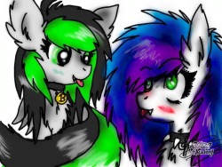 askbreejetpaw:  That’s for you Bree..and you’re awesome 