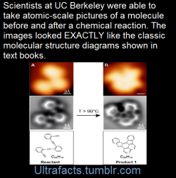 ultrafacts:  Every chemist’s dream – to snap an atomic-scale