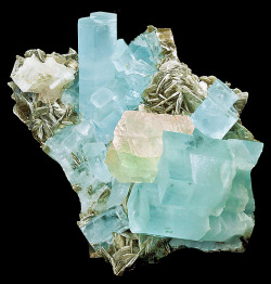 fuckyeahmineralogy:  Aquamarine with fluorite and muscovite;