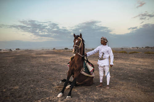 canteringdreams:  The Horses That Changed HistoryBeyond the modern