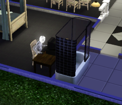 synecdoche:  i made a sim of myself and she died but often comes