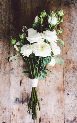 syflove:  white roses 