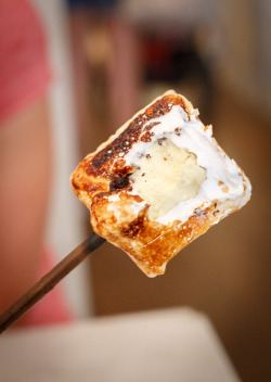 do-not-touch-my-food:  Marshmallow Covered Ice Cream / Dominique