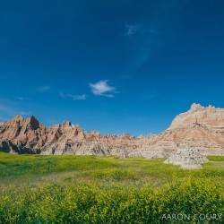 natureconservancy:  The Badlands is a pretty large park and the