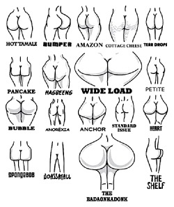 For sissy sisters - what type of ass do you have? For males breeding