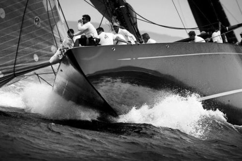 northsailssportswear:  (via Pin di North Sails Sportswear su Logbook | Pinterest)  Lionheart!