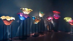 Just loved these glass sculptures guys!! Look at these colors!!