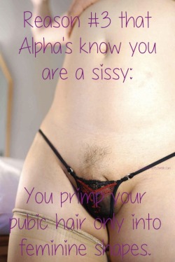 Most sissies begin their feminization by shaving their body completely - but I donâ€™t ask that of my sissies. Though 99% of you have itty bitty clitties, I want it to be completely unmistakable that you are, in fact, a sissy gurl. So I order my sissies