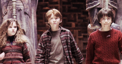 dracomalfuoy:  harry potter and the innumerable screencaps [8-9/?] 