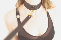 kittycollars:   