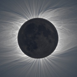 odditiesoflife:  Total Solar Eclipse These stunning photographs