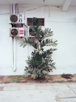 jamdubbidubbi:  colombo, sri lanka, 2014