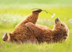 chrissymiller89:  Always take time to smell the flowers. :) 