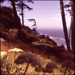 twoseparatecoursesmeet:Ecola State Park, Oregon, 1963  Doris