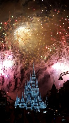 hideyourbandmembers:  Fireworks in Disney World on New Years