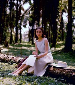 Audrey Hepburn in the Belgian Congo, 1958.  Special appearance by