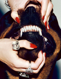 oscarprgirl:  ferocious.