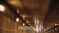 cinemaphileadict:    The Perks of Being a Wallflower (2012) directed