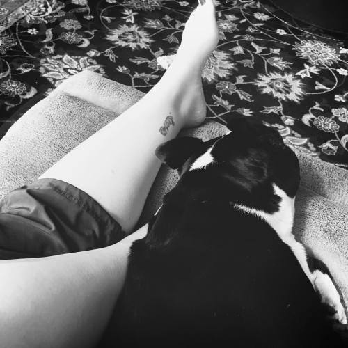 <p>I love to travel. You know I do. But there’s nothing like coming home. Today it’s breakfast with #sirwinstoncup on my foot. (Scrambled eggs with pineapple and carrots on the side #whole30 ) are the things that ground me. #homeiswhereyourdogis #bostonterrier #bostonterriercult #flatnosedogsociety  (at Fiddlestar)</p>