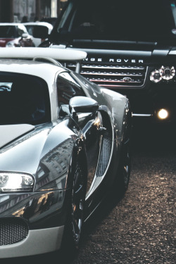 Veyron & Rover