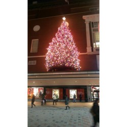 #Macy’s Christmas Tree #Downtown #Boston