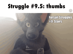 aceofheartsfox:  mtrain4275:  Just some ifunny gifs of aceofheartsfox  Haha. Haven’t seen this before but I’m glad you shared it! X3I heard from some peeps that my stuff popped up on ifunny so thanks again :D if anyone else finds stuff like this,
