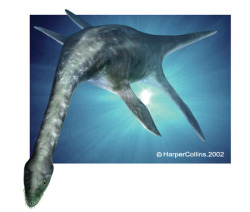 a-dinosaur-a-day:  Plesiosaurus(PLEH-see-oh-SORE-us) where: Oceans