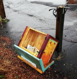 Someone tore down our Little Free Library this morning. You can