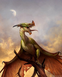 dailydragons:  Wyvern at Dusk by Kate Pfeilschiefter (website