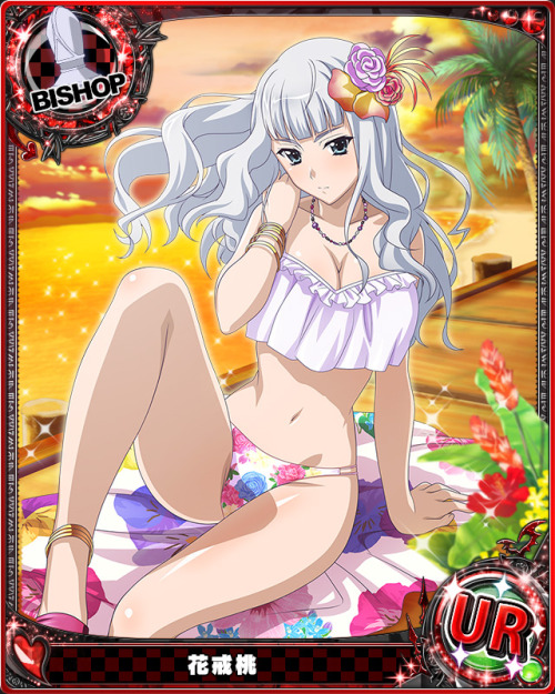 levantein:  Summer Hols is Here !!! And I share you all most beautiful girls of Highschool DxD.