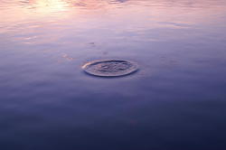 passivites:  That ripples, that I made, represent that I live
