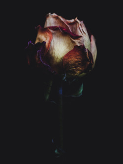 ♥