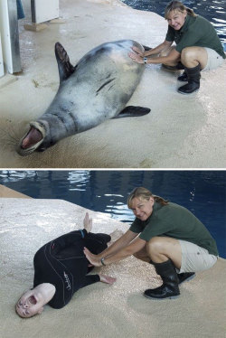 thesanityclause: catsbeaversandducks:  What Happens When Zookeepers