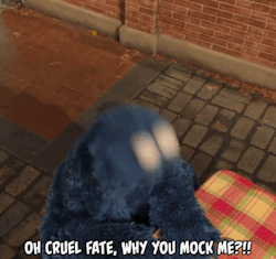 gameraboy:  Oh cruel fate, why you mock me?!! - Cookie Monster