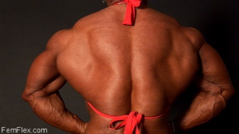 musclemuch:  *drool  Anyone else a fan of thick huge backs? 