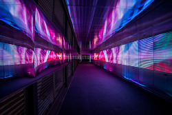 595media:   The Pixels Crossing: Sensory Tunnel by Miguel Chevalier