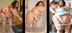 hotsummerfatty-reloaded:brendakthedonutgirl:palmfeeder:  Brianna