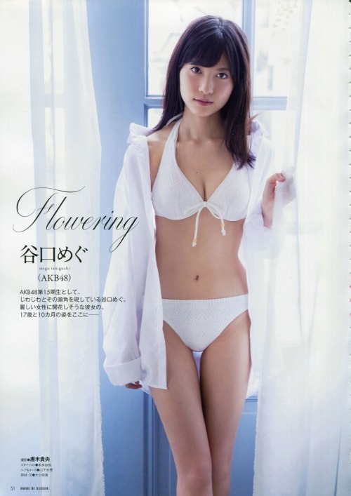 kyokosdog:    Taniguchi Megu 谷口めぐ, Gravure The Television